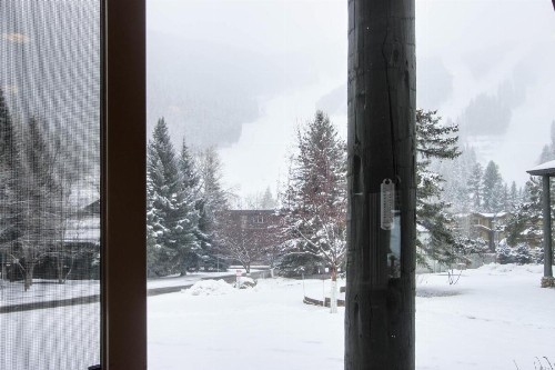 Greyhawk at the Ski Lifts -The Artisan - image 7