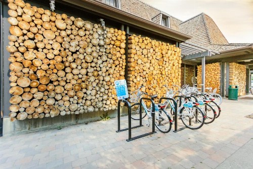 Bridgepoint Condo on Trail Creek - image 10