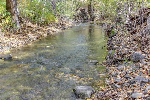 Bridgepoint Condo on Trail Creek - image 9