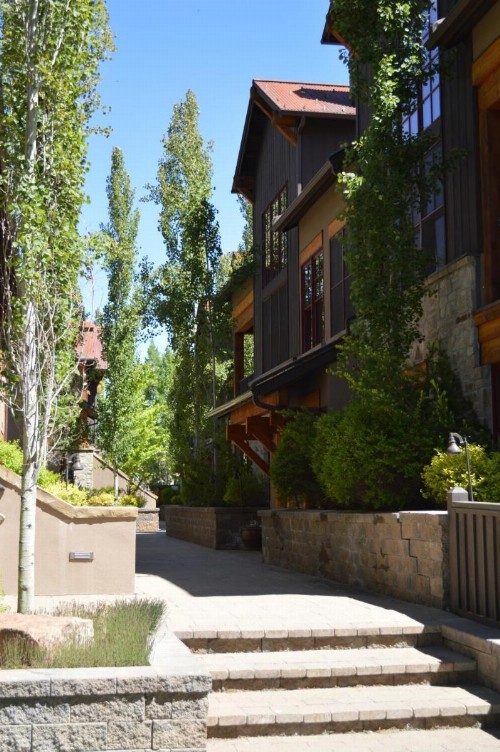The Timbers Condos Mt View - image 15