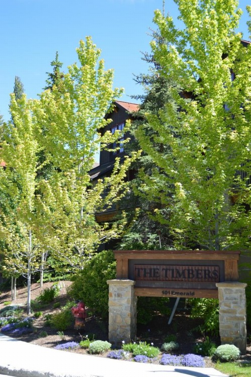The Timbers Condos Mt View - image 6