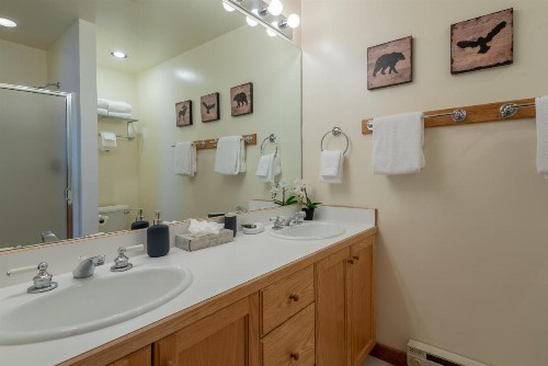 Greyhawk Condominiums Warm Springs Great Location for Bike and Ski - image 26