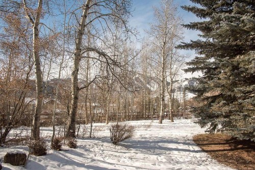One bedroom Cottonwood with great views - image 21