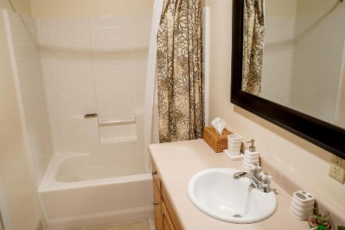 Thunder Springs Condo - image 22