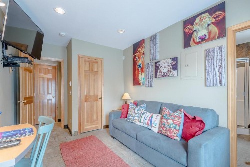 Alpine Villa Condo Walk to Town - image 11