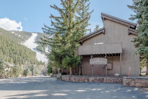 Smokey Plaza Condominium Warm Springs - image 11