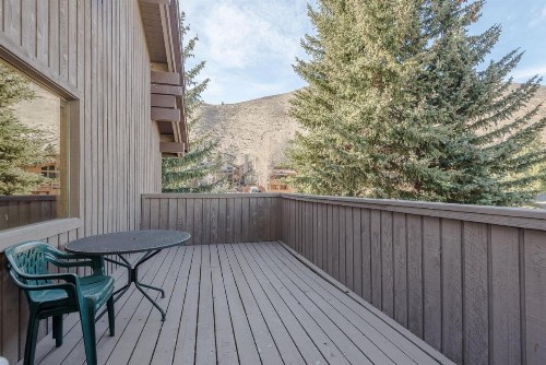 Smokey Plaza Condominium Warm Springs - image 15