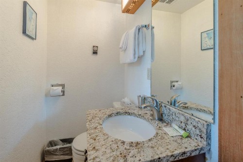 Smokey Plaza Condominium Warm Springs - image 16
