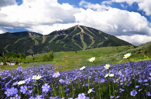 Ranch Condominium with Elkhorn Amenities - image 16
