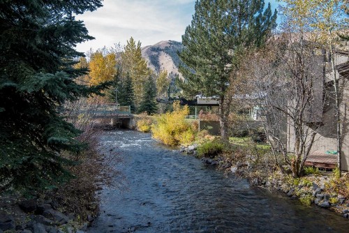 Delightful International Village Getaway - image 10