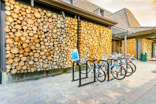 Aspenwood Ski Getaway - image 8