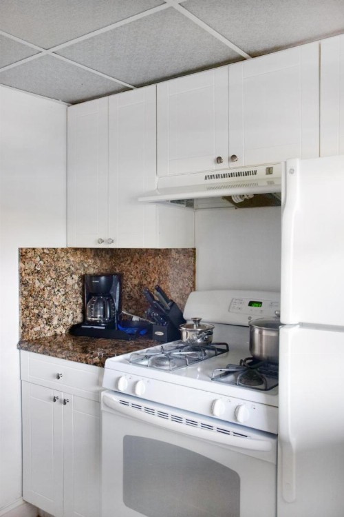 Coral Reef at Key Biscayne - image 31