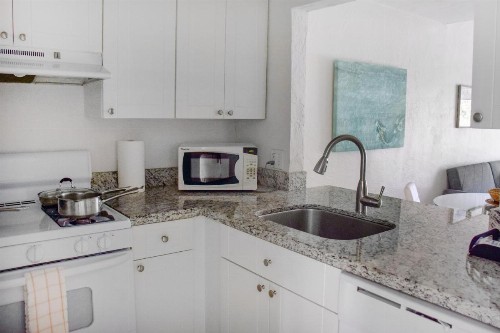 Coral Reef at Key Biscayne - image 46