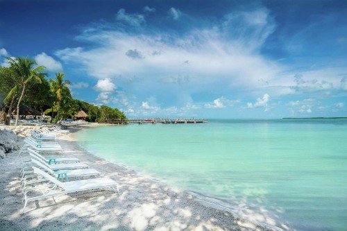Baker's Cay Resort Key Largo Curio Collection By Hilton - image 24