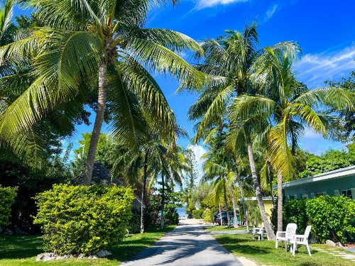 Sunset Cove Beach Resort - image 12