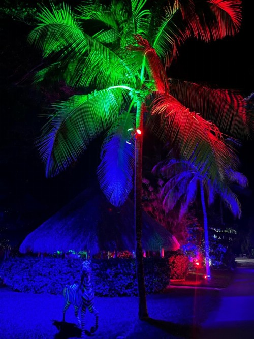 Sunset Cove Beach Resort - image 18