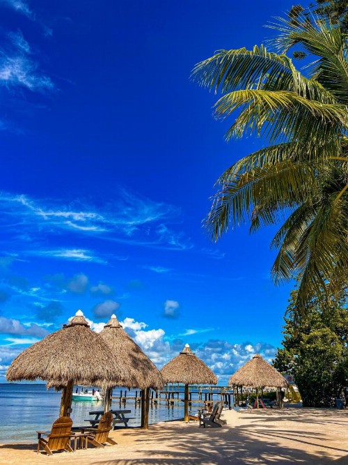 Sunset Cove Beach Resort - image 26