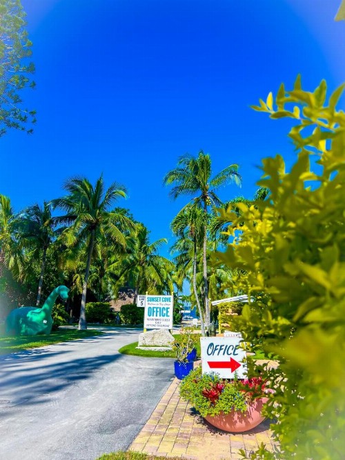 Sunset Cove Beach Resort - image 31