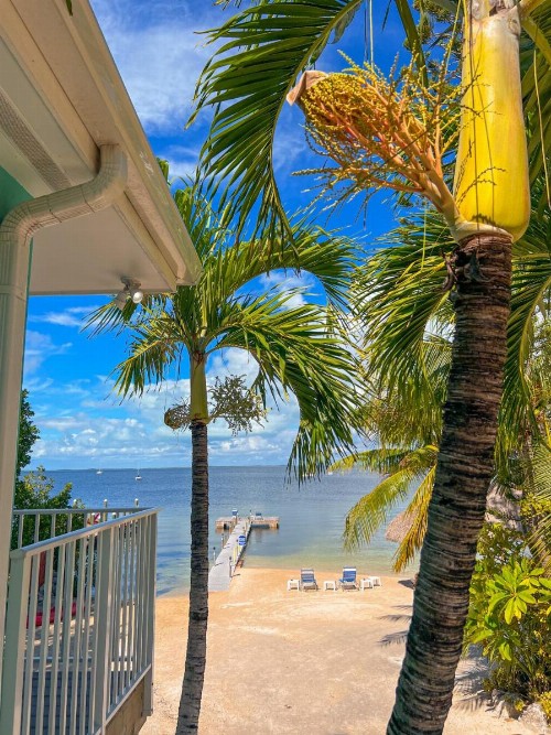 Sunset Cove Beach Resort - image 40