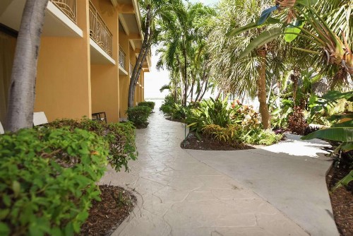 Hampton Inn Key Largo - image 11