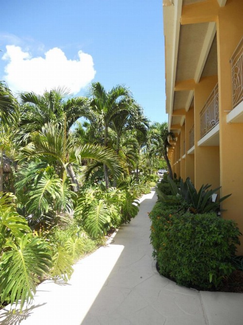 Hampton Inn Key Largo - image 26