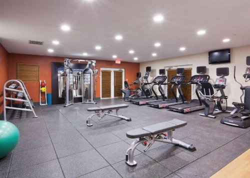 Hampton Inn Key Largo - image 30