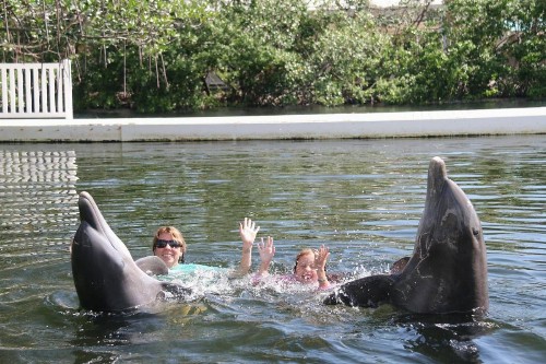 Bayside Inn Key Largo - image 12
