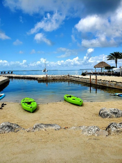 Bayside Inn Key Largo - image 13