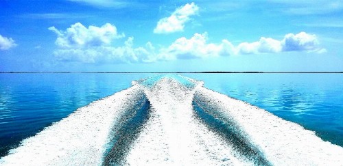 Bayside Inn Key Largo - image 20