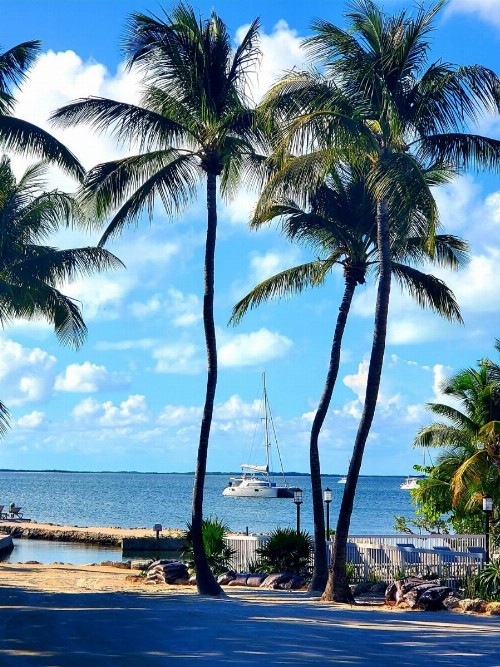 Bayside Inn Key Largo - image 21