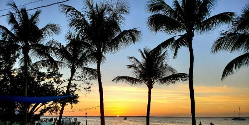 Bayside Inn Key Largo - image 27