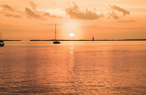 Bayside Inn Key Largo - image 29