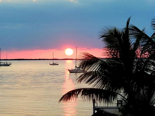 Bayside Inn Key Largo - image 3