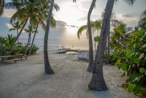 Bayside Inn Key Largo - image 37