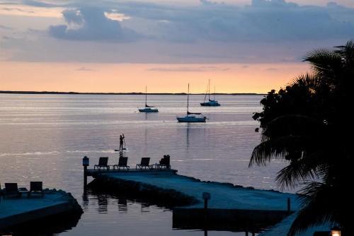 Bayside Inn Key Largo - image 50