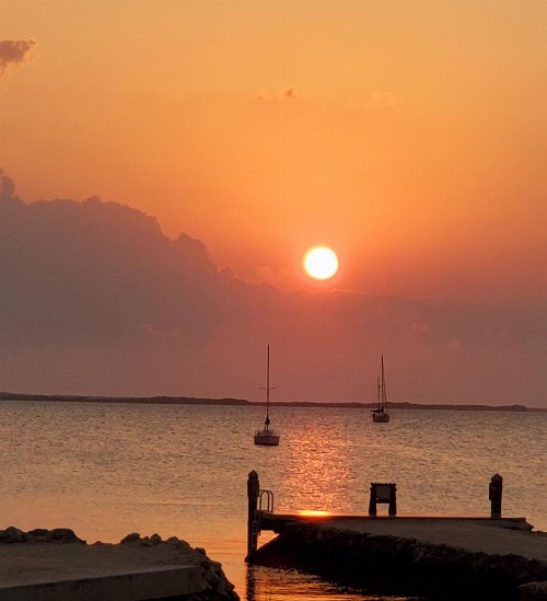 Bayside Inn Key Largo - image 9