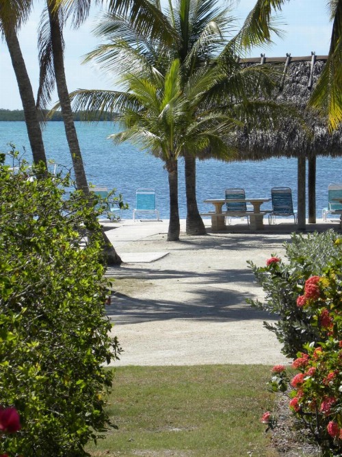 Rock Reef Resort - image 10