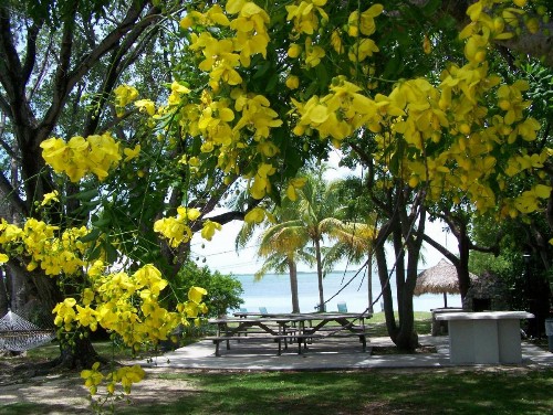 Rock Reef Resort - image 26