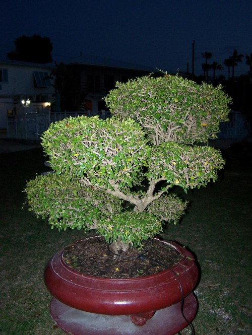 Rock Reef Resort - image 43