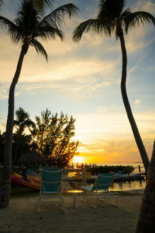 Coconut Bay Resort - Key Largo - image 41