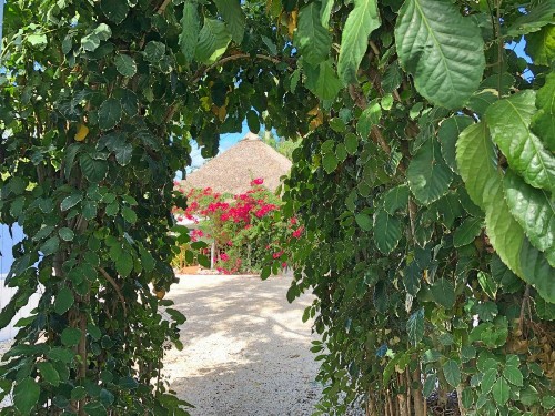 The Pelican Key Largo Cottages - image 31