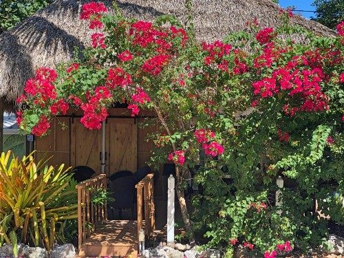 The Pelican Key Largo Cottages - image 32