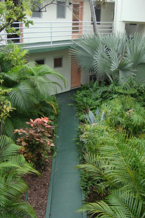 El Patio Motel - image 15