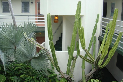El Patio Motel - image 16