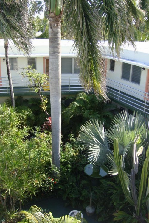 El Patio Motel - image 20