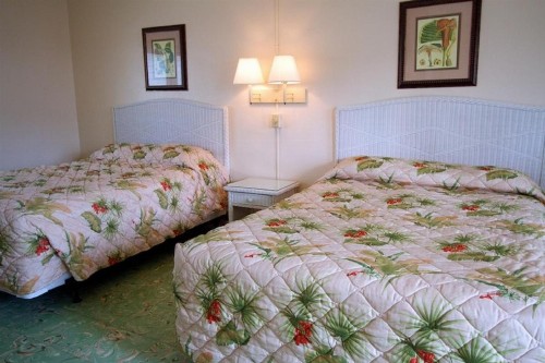 El Patio Motel - image 31