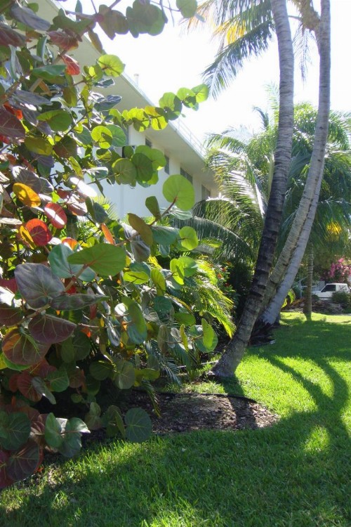El Patio Motel - image 35