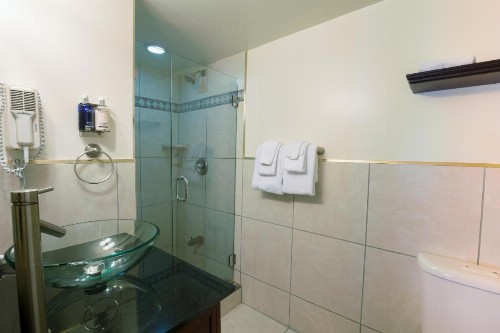 Pegasus International Hotel - image 12
