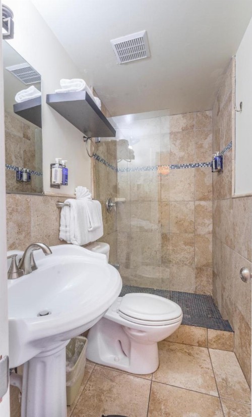 Pegasus International Hotel - image 2
