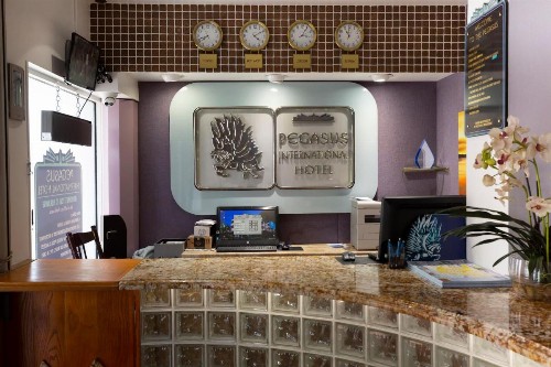 Pegasus International Hotel - image 39